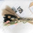 thumbnail image 4 of CreativeArrowy Tall Pampas Grass Fluffy Artificial Stems Dried Reed Flowers Bouquet Home Wedding Decoration Multicolor Floating Dust, 4 of 9