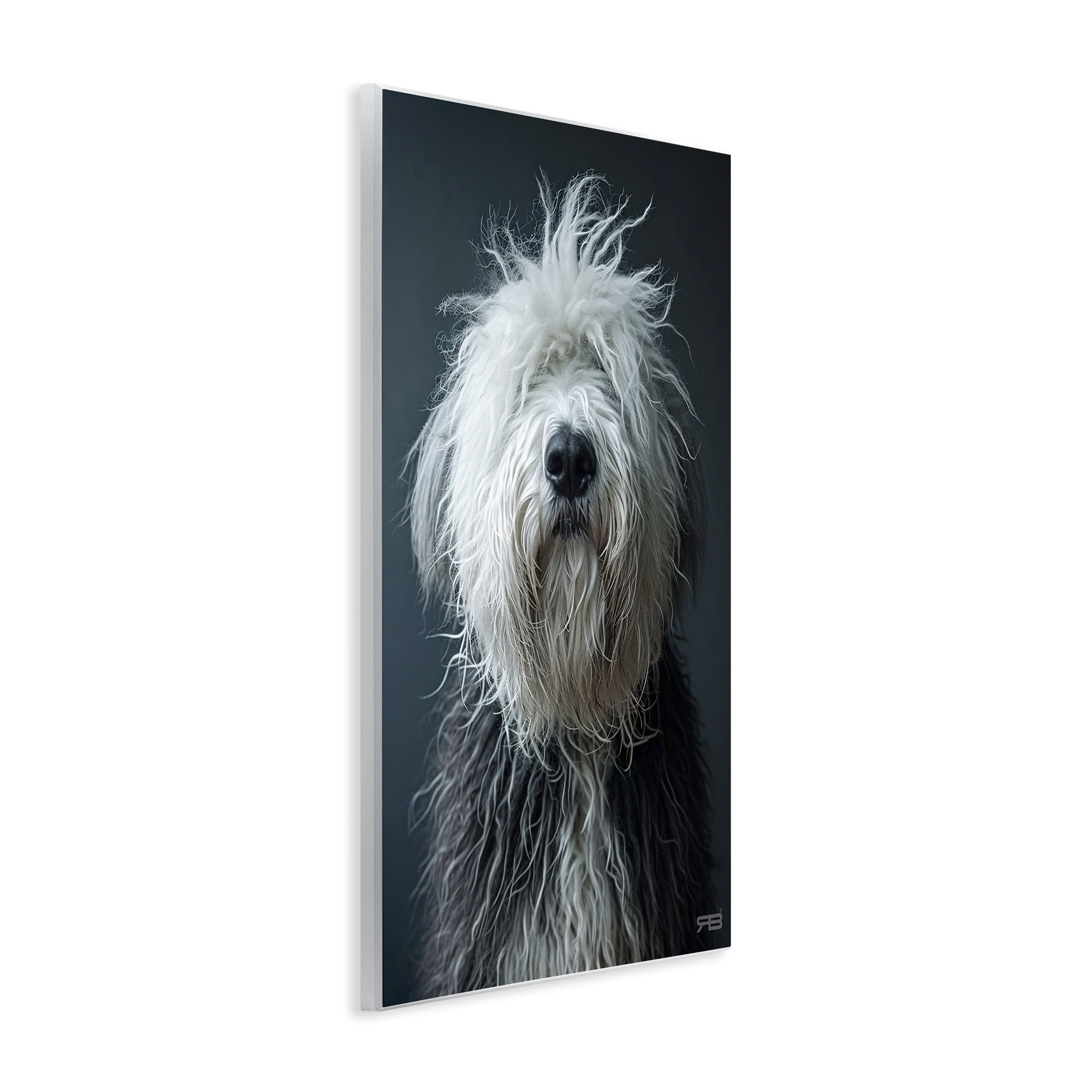 Stupell Industries Shaggy Pup Portrait Animals & Insects Painting Unframed Art Print Wall Art, 13 x 19