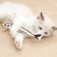 thumbnail image 5 of Juguete de hierba gatera, juguete de pez, juguete de hierba gatera para masticar, pez para gatos, molar para gatos, deportes para gatos, 5 of 5