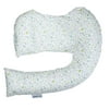 Dr. Brown's Dreamgenii 2 in 1 Pregnancy Support & Feeding Pillow, Green