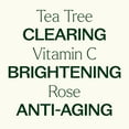 thumbnail image 4 of Plant Therapy Facial Serum Trio Set 1 oz each, Vitamin C & Hyaluronic Acid, Rose with Bakuchiol & Tea Tree with Niacinamide, Reduces the Appearance of Fine Lines & Wrinkles, 4 of 7