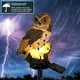 thumbnail image 2 of Power LED Owl Lawn Light Solar Impermeable Jardín Paisaje Ligh( ) Marrón 5pcs Hugtrwg Para estrenar, 2 of 9