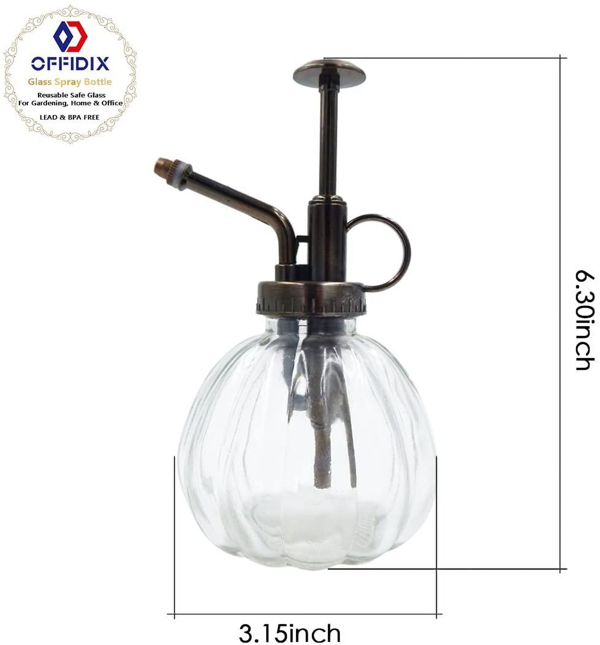 OFFIDIX Transparent Glass Watering Spray Bottle, 6.3 Inches