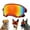 C, variant on Pet Glasses Dog Goggles for Medium to Large Breeds – Stylish Dog Eyewear Suitable for Golden and Other Active