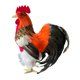 thumbnail image 2 of Modelo de simulación de gallo, figura de gallo de simulación, accesorios de fotografía, estatua de jardín de pollos, decoración al aire libre para tie Multicolor, 2 of 9