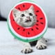thumbnail image 4 of Collar de recuperación para gatos, collar flexible de cono para gatos, collar de gato con diseño de sandía de dibujos animados, collar de poliéster para mascotas, 4 of 8