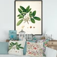 thumbnail image 2 of Ancient Botanicals II 16 in x 32 in Framed Painting Canvas Art Print, by Designart, 2 of 5