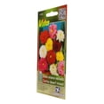 thumbnail image 2 of Semillas De Dalia Enana Víta 1.3 Gr Multicolor, 2 of 3