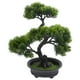 thumbnail image 3 of Pino de pino artificial adorno de bonsai plantas falsas decoración de bonsai, 3 of 7