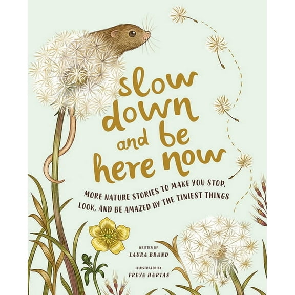 Slow Down Slow Down and Be Here Now: More Nature Stories to Make You Stop, Look, and Be Amazed by the Tiniest Things, (Hardcover)