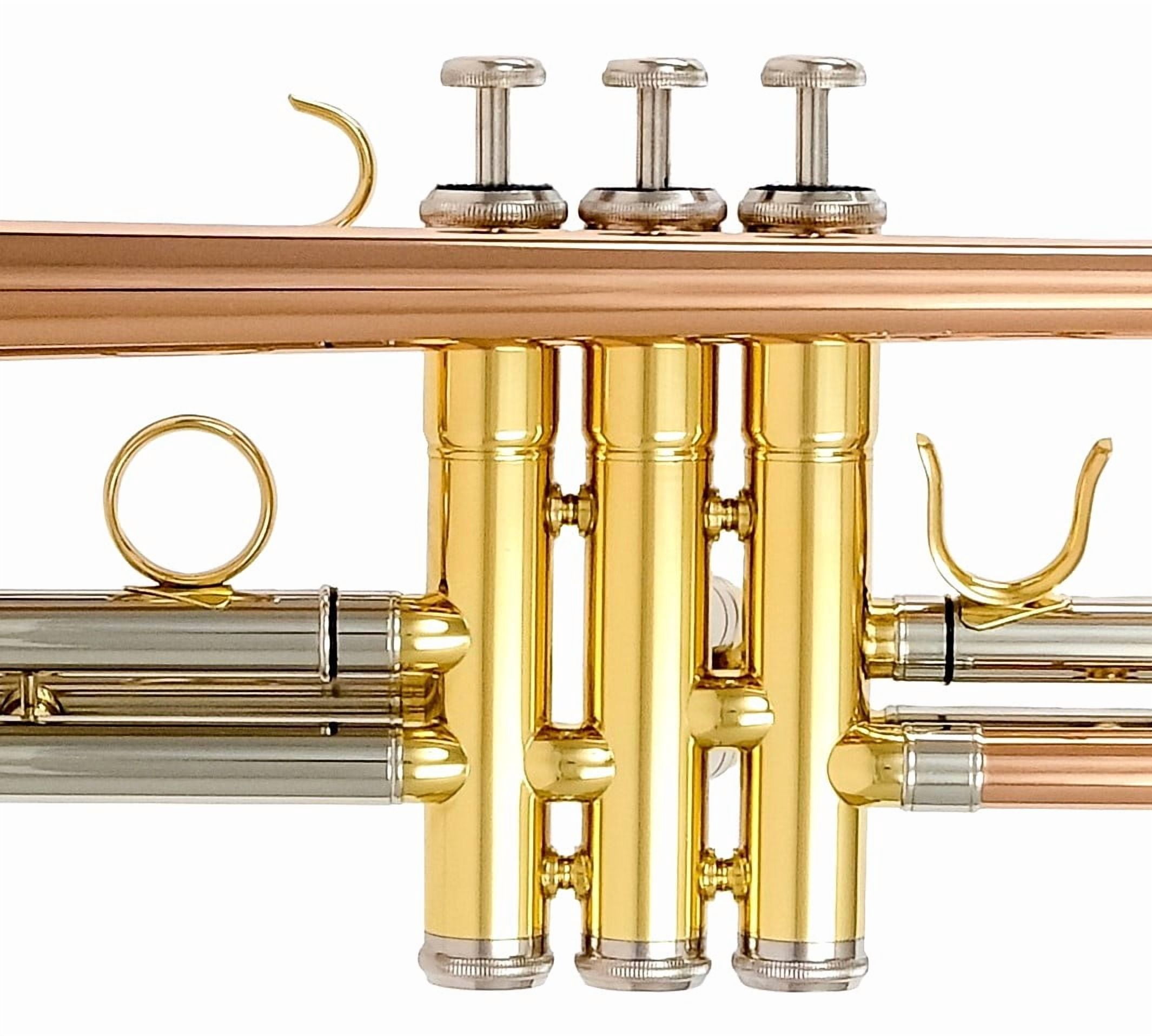 DTR-400 Trumpet, Bb, brass lacquered, rose brass lead pipe and bell, 3 Stainless steel pistons, with ABS or Canvas case