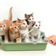 thumbnail image 2 of Pala de arena de Metal, pala de malla para arena de gatos, pala de limpieza de arena para gatitos, herramienta de limpieza de arena para gatos, 2 of 7