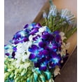 thumbnail image 3 of KaBloom : 40 Blue-white Dendrobium Orchids Next-Day Delivery, Gift for Every Occasion., 3 of 5