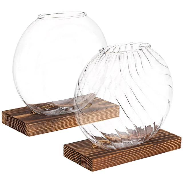 2 Pcs Glass Vases For Plants Glass Terrarium Glass Plant Holder Hydroponic Planter Terrarium Container Plant Terrarium