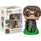 thumbnail image 1 of Funko Harry Potter POP | Harry Potter with GITD Floo Powder Exclusive Funko -, 1 of 1