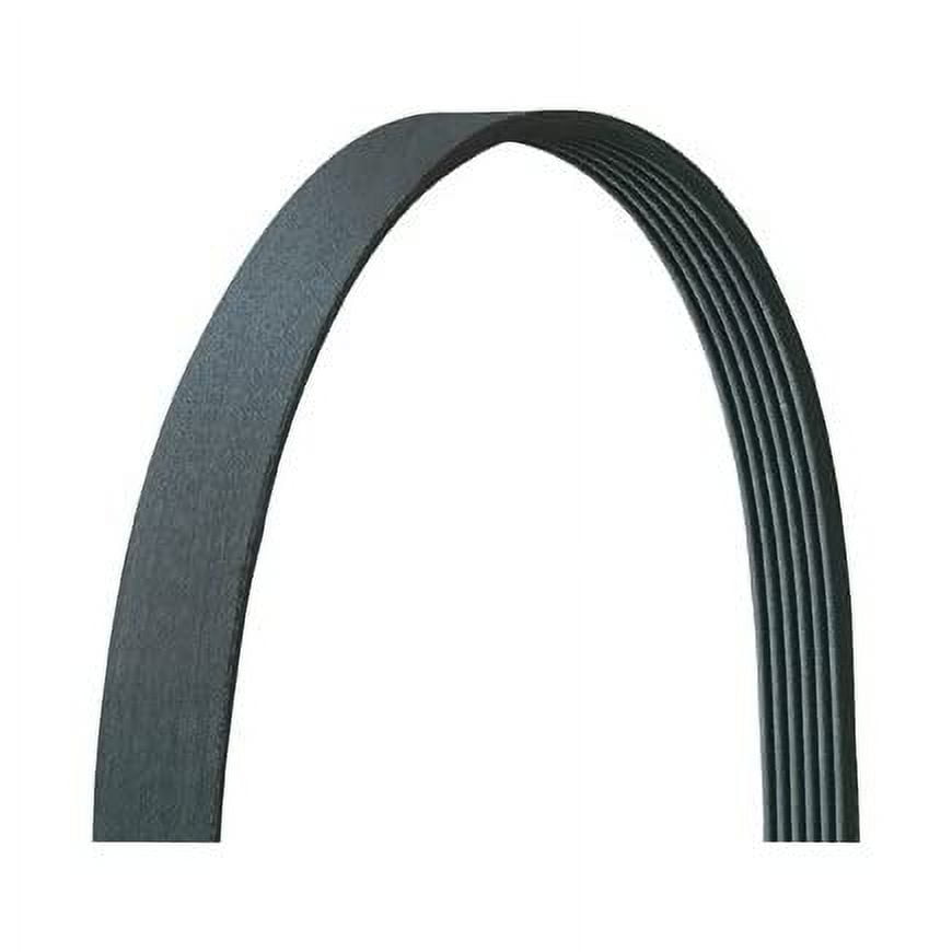 DAYCO BELTS/HOSES - BELTS/HOSE