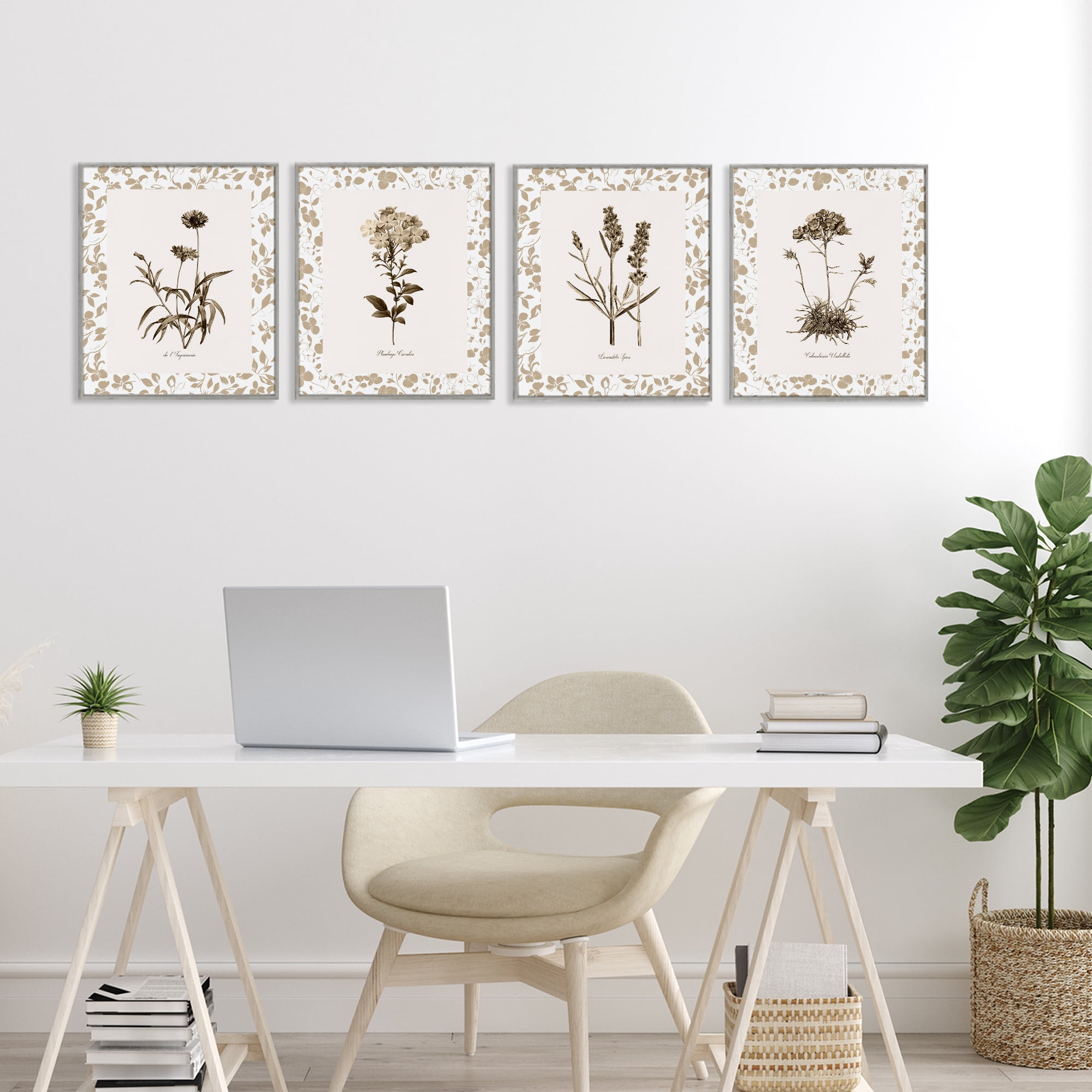 Stupell Industries Neutral Imperial Flower Studies 4 Piece Gray Framed Giclee Art Set, design by Kelly Donovan