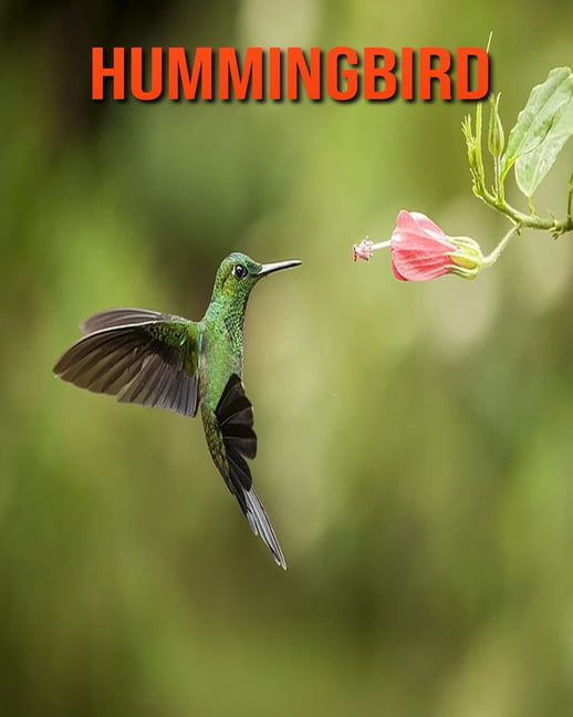Amazing facts about hummingbirds