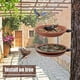 thumbnail image 3 of 2 bebederos para pájaros, comedero para pájaros al aire libre y baño para pájaros, bebedero para pájaros para balcón, dispensador de alimentos para pájaros silvestres, baño para pájaros, (marrón) ER Rojo Verde, 3 of 5
