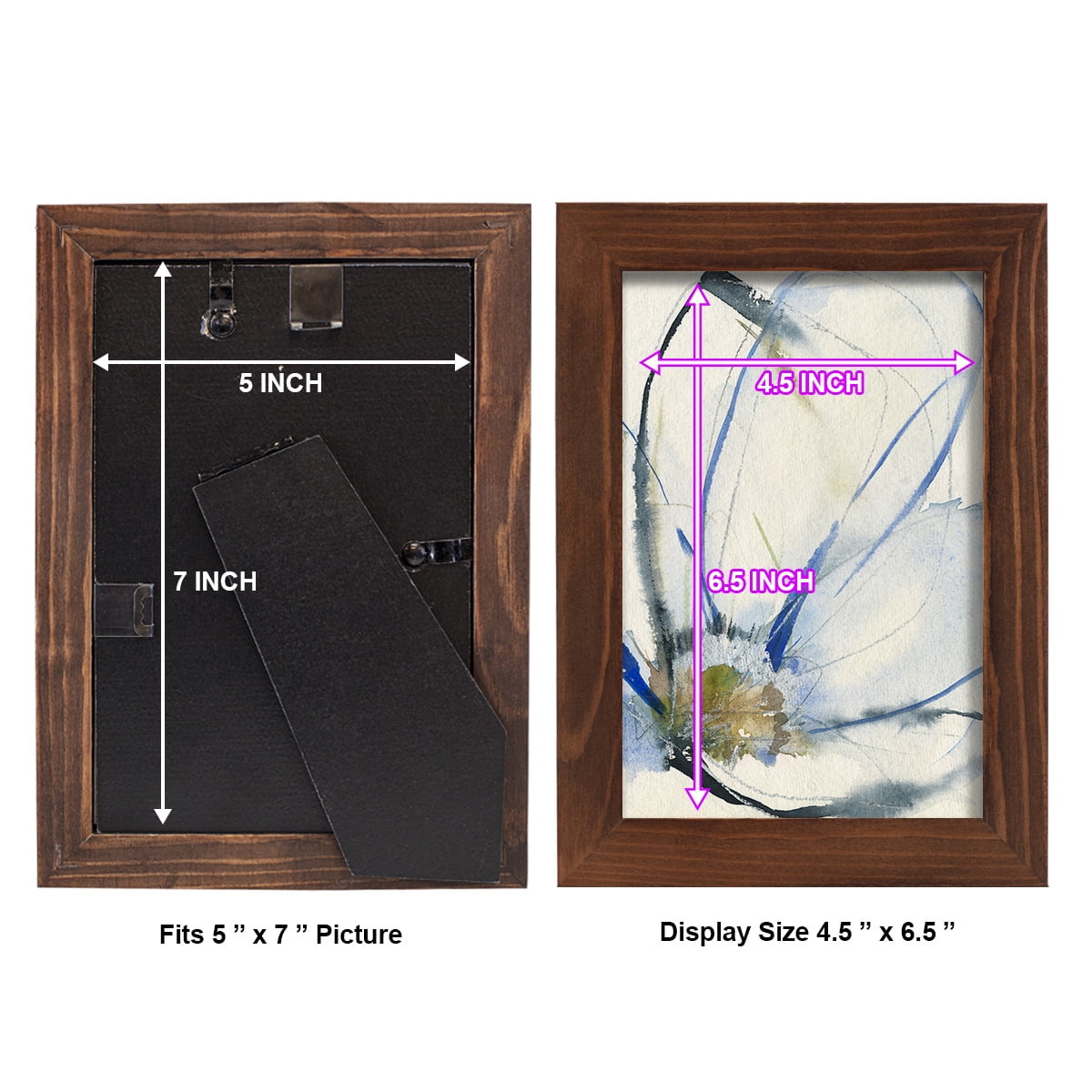 Cobalt & Paynes Petals II - Framed Print w/glass - Chestnut