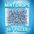 thumbnail image 2 of Colombina Breath Mints Delicate Drops - Over 660 Individually Wrapped Breath Savers Mini Mints in Bulk Bag for Long-Lasting Freshness and Convenience (2.2 lbs)., 2 of 3
