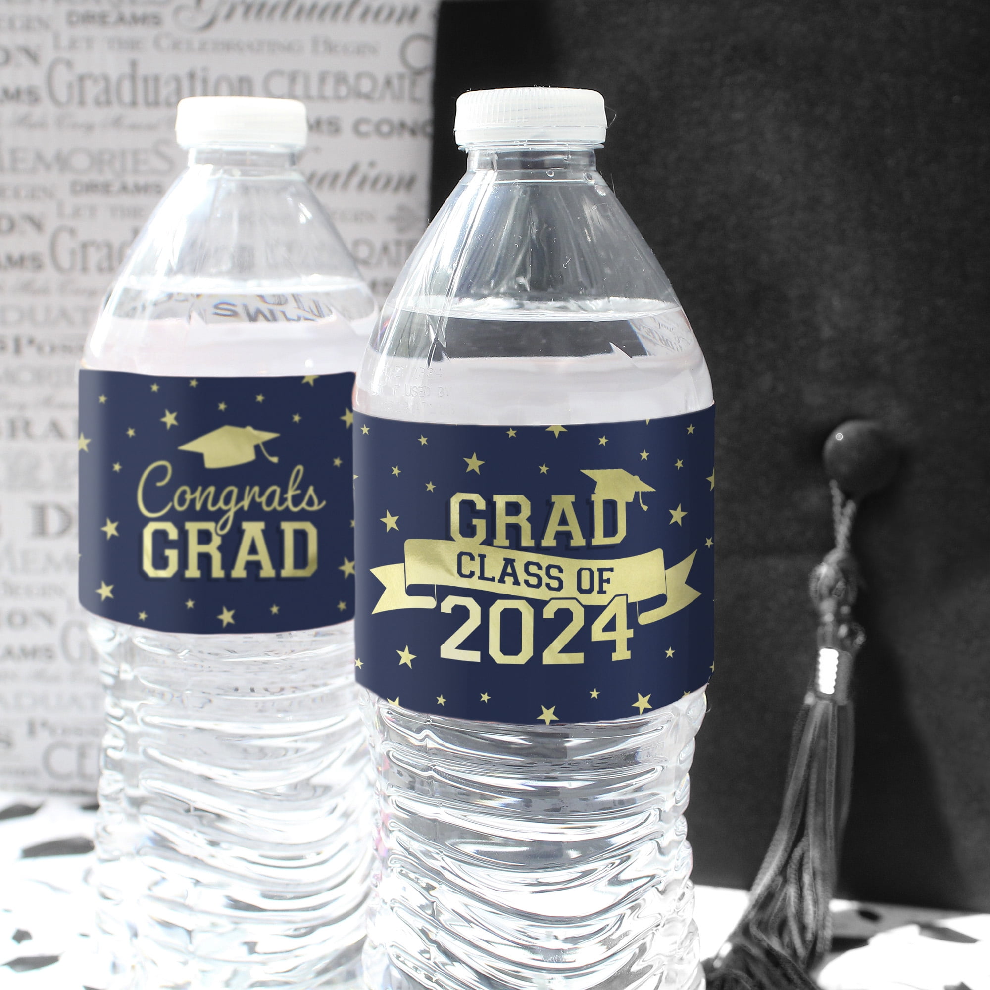 Way to Celebrate Graduation You Got This Metal Water Bottle, White