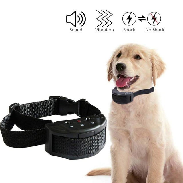 small dog training collars