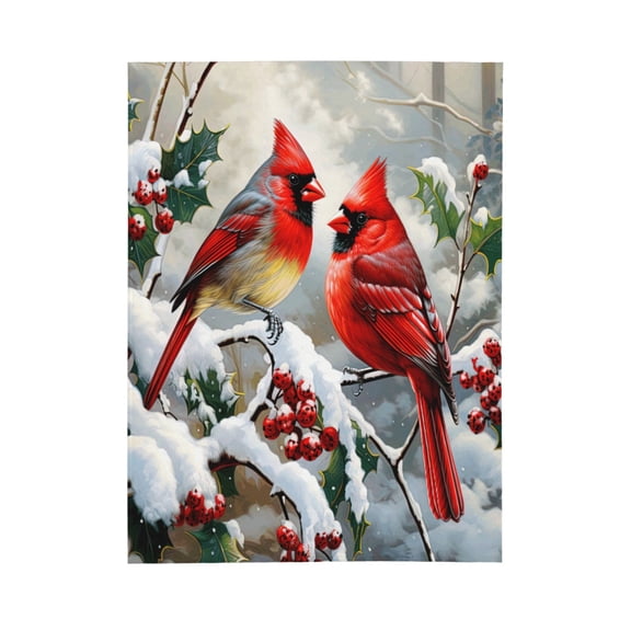 PHELIKA Snow Red Cardinal Winter Birds 05 All Season Soft Throw Blanket Lightweight Flannel Fleece Blankets 50"x40"
