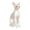 Pink, variant on Pink Simulation Hairless Cat Pet Animal Model Figure Toy Kids Educational Collectible Fun Play