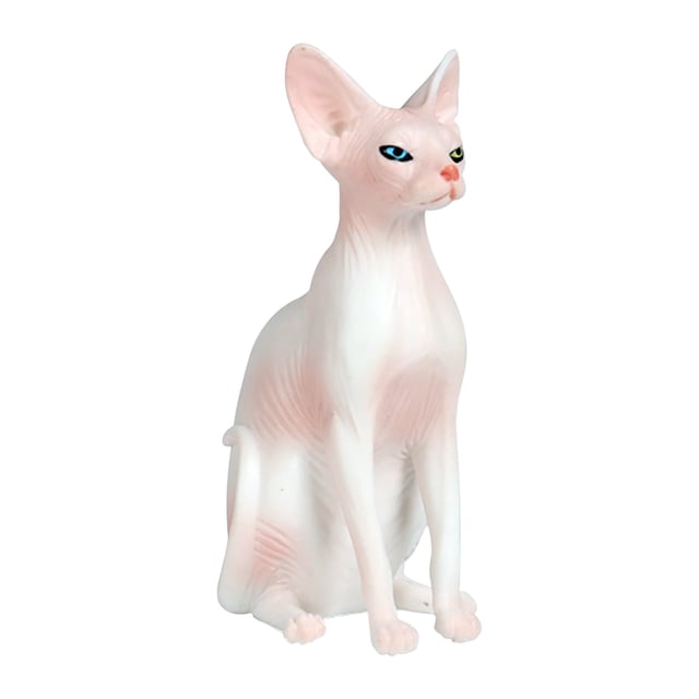 Modèle de Simulation de Chat Sans Poils - Figurine d'Animal Réaliste et Statique pour Jeu Éducatif et Collectionneurs