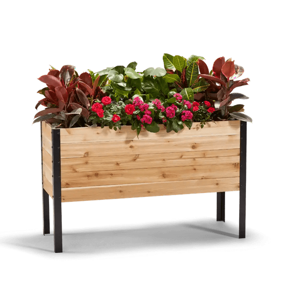 Cedar Planters - Canadian Cedar Wood - Elevated Garden Bed for gardening - pots and planters to grow herbs flowers, and vegetables at home indoor outdoor patio balcony deck - 18"x48&q
