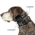 thumbnail image 2 of Warner Bros. Pet Collar, Dog Collar Plastic Buckle, Dobby Is Free 3 Dobby Poses Star Swirls Black Gold White, 8.5 to 12 Inches 0.5 Inch Wide, 2 of 8