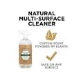 thumbnail image 3 of Trinova Natural Multisurface Cleaner (Limpiador natural multiusos) - Ideal para superficies y electrodomésticos, 3 of 4