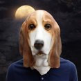 thumbnail image 4 of Halloween Face Cover Skin-friendly Wear Resistant Emulsion Dog Head Animal Face Cover for Home, 4 of 9