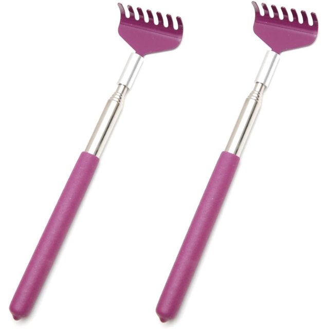 Grattoir à Dos Extensible en Acier Inoxydable Télescopique Ultime (Lot de 2, Violet)