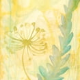 thumbnail image 3 of Stramel, Renee W. 12x12 Black Modern Framed Museum Art Print Titled - Florid Garden II, 3 of 5