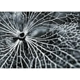 thumbnail image 2 of Design Fabrikken 24x18 White Modern Wood Framed Museum Art Print Titled - Winterspell, 2 of 4