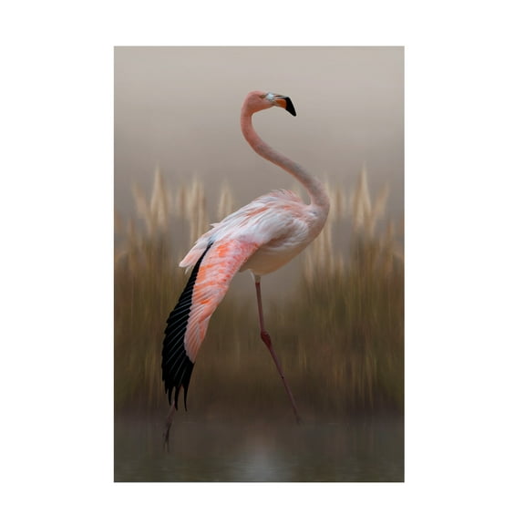 Canvas Wall Art - Krystina Wisniowska 'Grace' Wall Art for Living Room, Bedroom, or Office Décor by Trademark Fine Art - 12 x 19 Inches