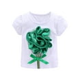thumbnail image 2 of LittleSpring Toddler Girls Summer Outifts for Girls T-Shirts and Tutu Skirt Set Green 3T, 2 of 6