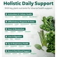 thumbnail image 3 of Healths Harmony 2250mg Super Greens Powder Superfood Extract Supplement, 120 Capsules, 3 of 10