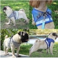 thumbnail image 2 of Arnés para exteriores para mascotas, protección para perros pequeños, arnés para gatos a prueba de escape (azul), se recomiendan 5-7 kg, 2 of 3