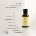 thumbnail image 5 of Homeidcs SereneScent™ Lemon & Ginger 15ml Home Fragrance Essential Oil, 5 of 5