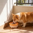 thumbnail image 6 of Automatic Floating Pet Water Bowl for Cats & Dogs | Gentle on Beard, Foolproof to Clean | 1500ml Large Capacity, Dishwasher Safe | Suitable for Small to Medium Pets, 6 of 6