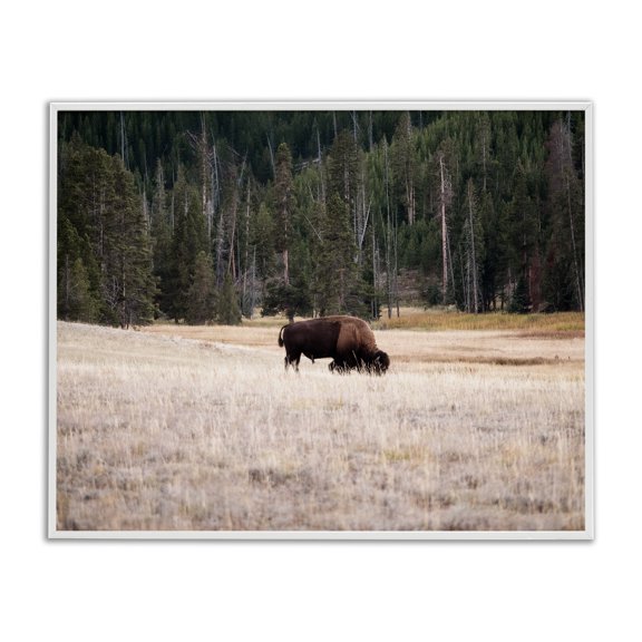 Stupell Industries Rustic Lodge Bison Grazing Rural Country Landscape White Framed Giclee Art, 14 x 11, by Stede Bonnett