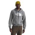 thumbnail image 1 of Buzo The North Face Evolution Half Dome gris talla XS, 1 of 3
