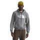 thumbnail image 1 of Buzo The North Face Evolution Half Dome gris talla XS, 1 of 3