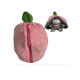 thumbnail image 5 of Muñecos De Peluche De Burrito Con Capa Belug   Rosa, 5 of 5