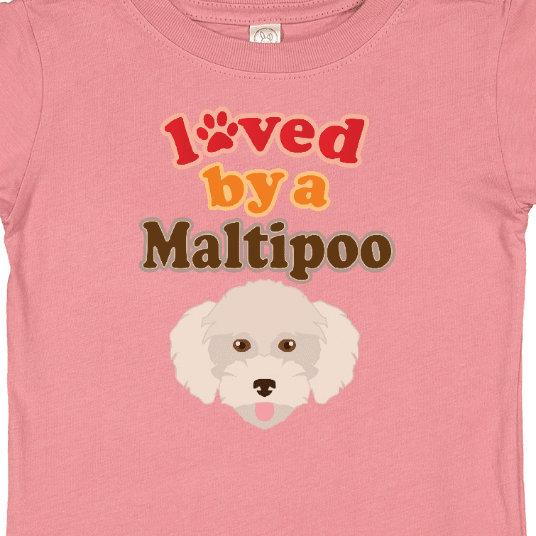 Baby clearance maltese poodle
