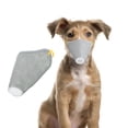 thumbnail image 4 of Filtro de 3 capas para mascotas, perro, antivaho, mufla bucal, transpirable, protector facial, gris S, 4 of 8