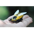 thumbnail image 4 of Mini Juguetes De Insectos De Batalla De Plástico Para Gatos, Mariquita Realista, Mariquita, Hornet, Escarabajo Electrónico, Juguetes Alimentados Por Batería Scienceny FN007185-02, 4 of 5
